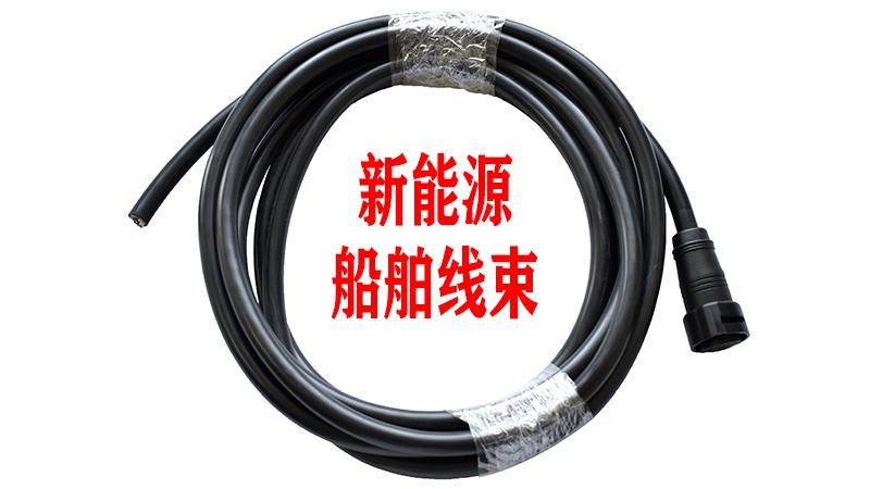 新能源船舶线束 船舶销售新赛道的价值引擎