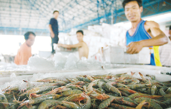 新鲜海虾上市与船舶销售 海鲜供应链背后的产业联动